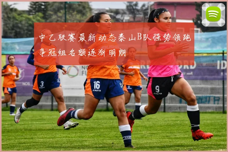 中乙联赛最新动态泰山B队强势领跑争冠组名额逐渐明朗